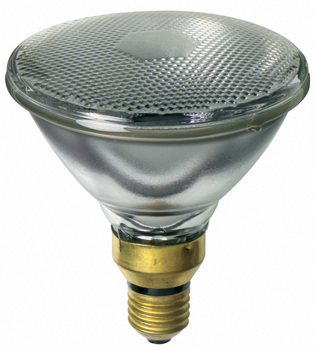 PAR 38 Light Globes / Bulbs – “Incandescent” - Click Image to Close